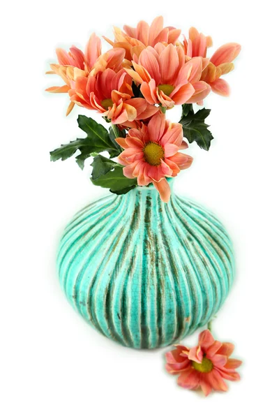 Chrysantheme Blumen in der Vase, die isoliert auf weiss — 图库照片