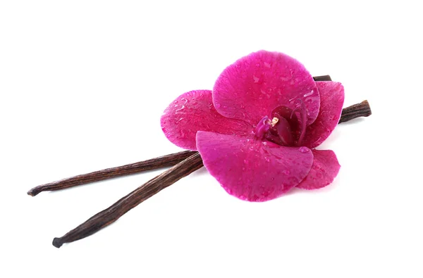 Hermosa orquídea floreciente y varillas de vainilla aisladas en blanco — Foto de Stock