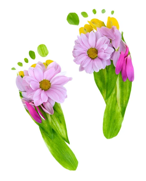 Voetafdrukken van bladeren en bloemen geïsoleerd op wit — Stockfoto