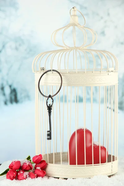 Heart in decorative cage on winter background — Stock Photo, Image