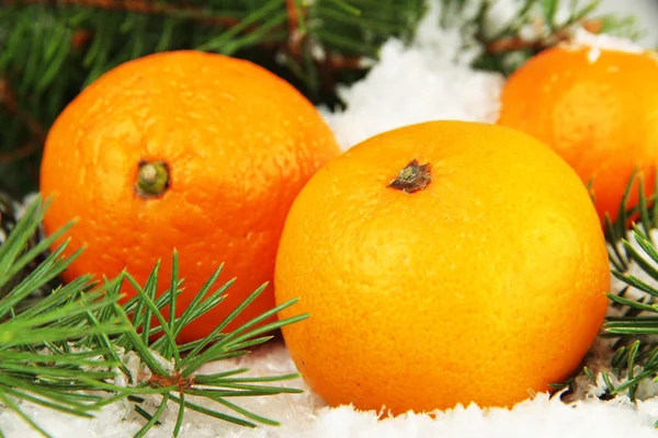 Mandarines mûres avec branche de sapin dans la neige gros plan — Photo