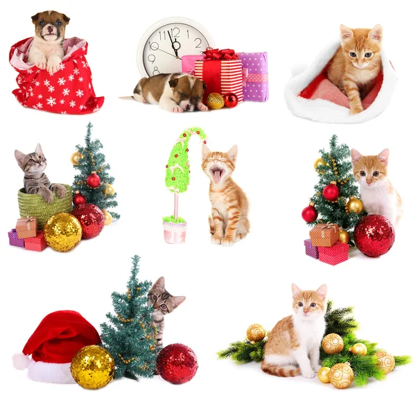 Christmas animals Stock Photos, Royalty Free Christmas animals Images
