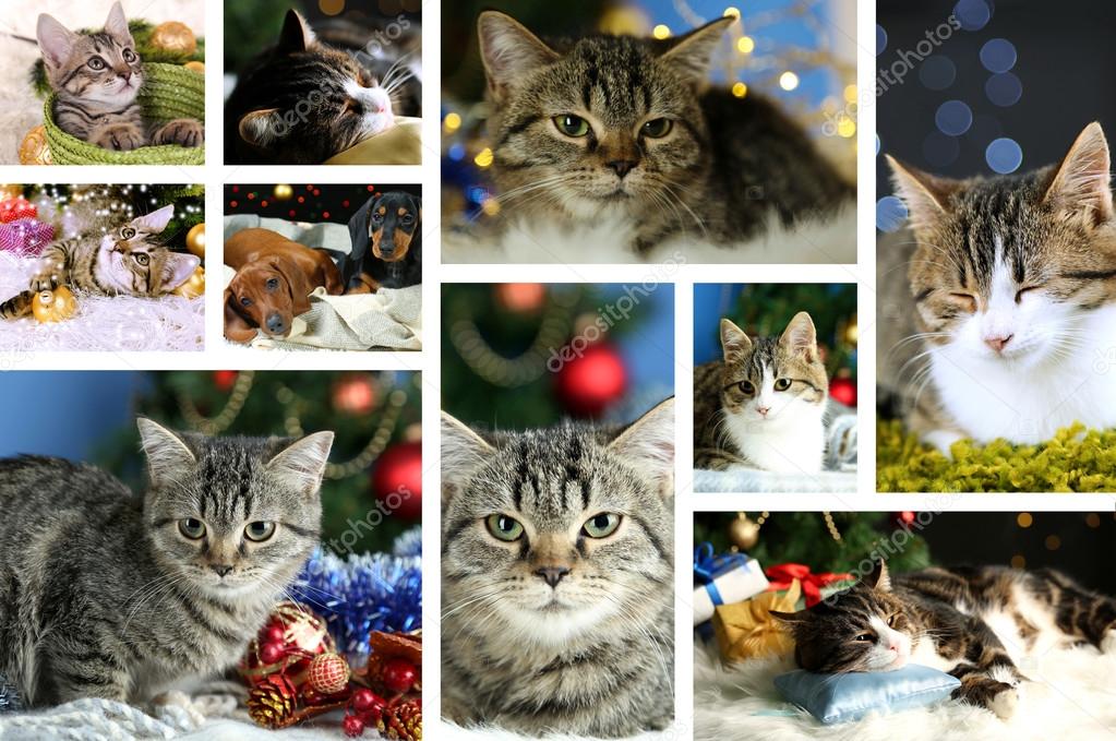 Christmas animals collage