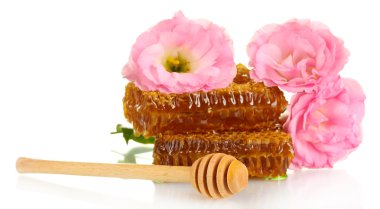 Bal ve üzerinde beyaz izole çiçeklerle peteğin