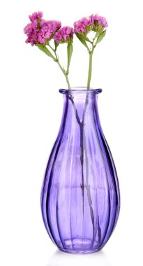 güzel yaz çiçek Vazoda beyaz izole