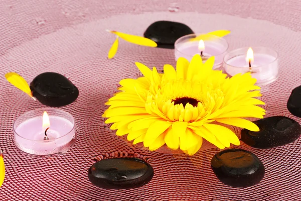 Wellness-Steine mit Blumen und Kerzen in Wasser auf Teller — Stockfoto