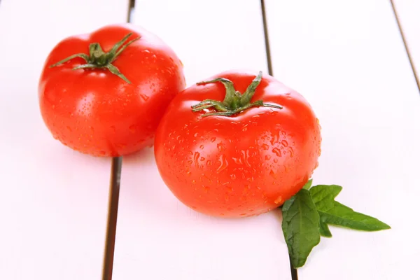 Fresh tomatoes on white wooden background — Stock Photo, Image