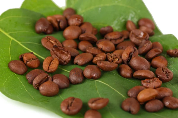 Grãos de café em folha verde close-up — Fotografia de Stock