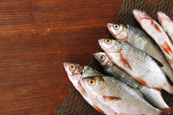 Ryby na rybářských sítí na dřevěné pozadí — Stock fotografie