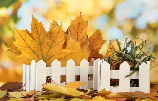 Beautiful autumn leaves in wooden stand on table on bright background — Stock Photo, Image