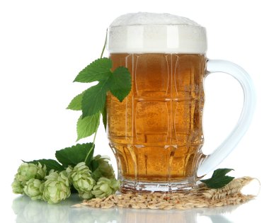 bira ve üzerinde beyaz izole şerbetçiotu, cam