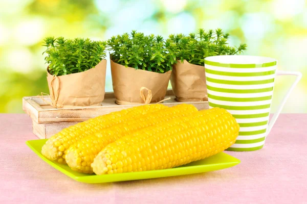 Gekookte maïs op de roze-tafelkleden op de achtergrond van de natuur — Stockfoto