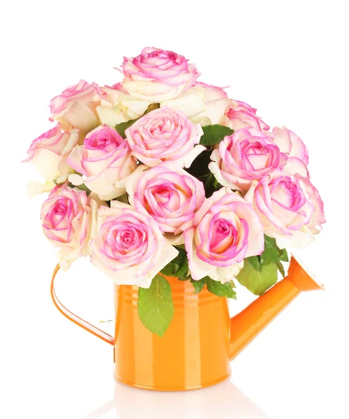 Mooi boeket van roze rozen in gieter, geïsoleerd op wit — Stockfoto
