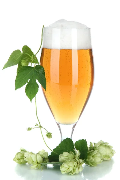 Glass of beer and hops, isolated on white — Stock Photo, Image