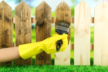 Parlak arkaplanda, ahşap çitlere koruyucu cila uygulanıyor