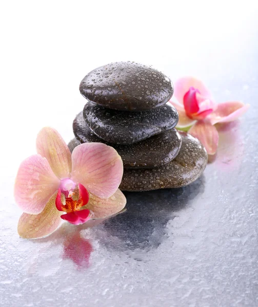 Composición con hermosa orquídea floreciente con gotas de agua y piedras de spa, sobre fondo claro — Foto de Stock