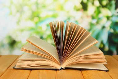 parlak zemin üzerine açık kitap