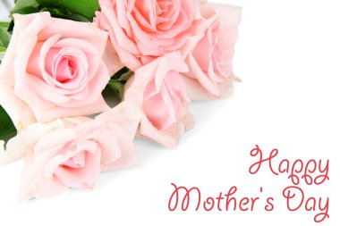 Beyaz üzerine izole edilmiş güzel güller.