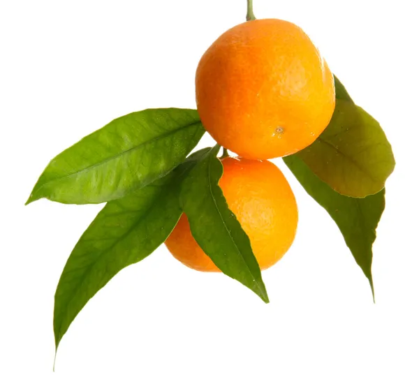 Ripe sweet tangerines with leaves, isolated on white — Stock Photo, Image