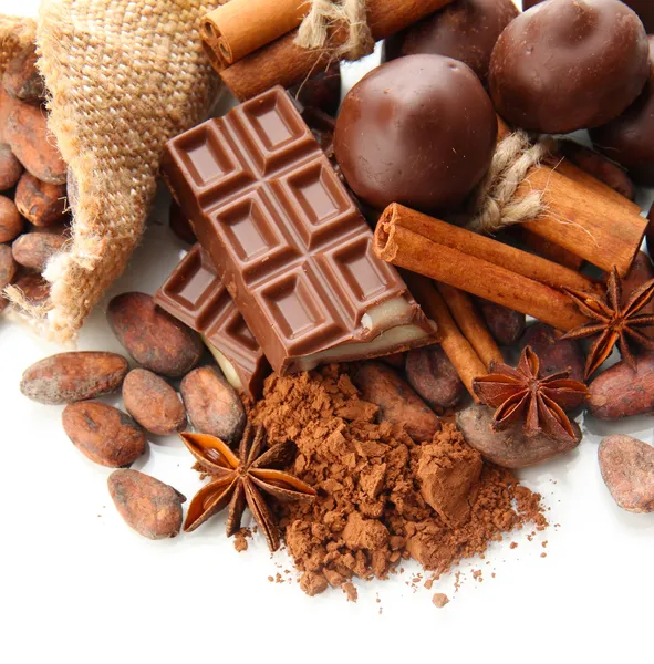 Composition of chocolate sweets, cocoa and spices, isolated on white — Stock Photo, Image