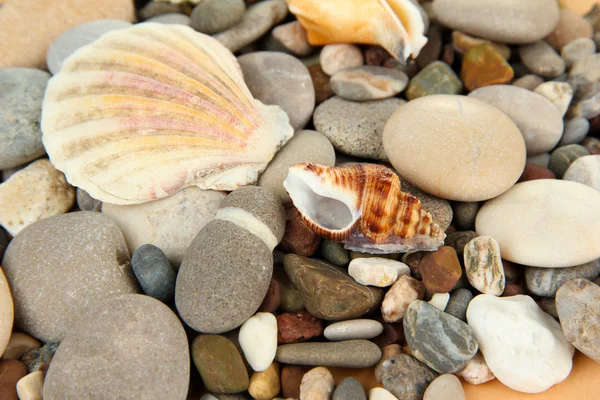 Sfondo di pietre marine — Foto Stock