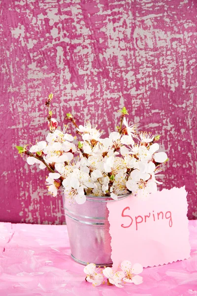 Beautiful blooming branches in bucket on blue background — Stock Photo, Image