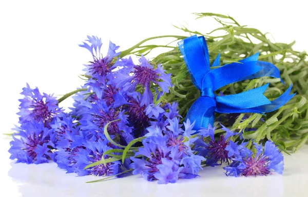 Beautiful bouquet of cornflowers, isolated on white — стоковое фото