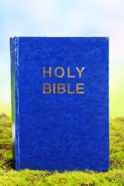 Bible on grass on natural background — Stock Photo, Image