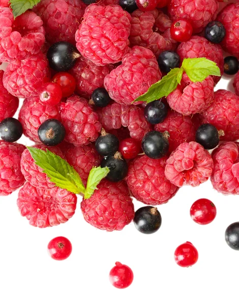 Ripe berries with mint, isolated on whit — Stock Photo, Image