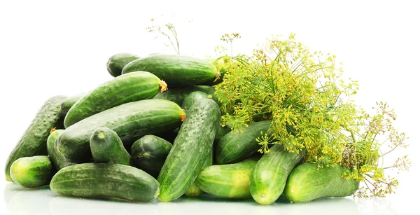 Fresh cucumbers and dill isolated on white — Stock Photo, Image