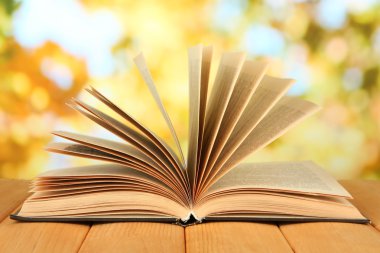 parlak zemin üzerine açık kitap