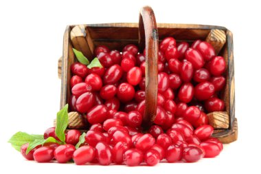 ahşap sepeti taze cornel çilek beyaz izole