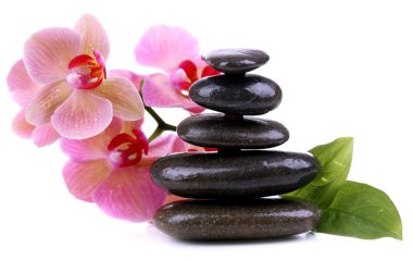 güzel çiçek açan orkide su damlaları ve üzerinde beyaz izole spa taşlar ile kompozisyon