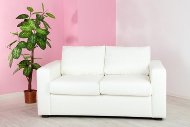 Odada pembe duvar zemin üzerine beyaz kanepe