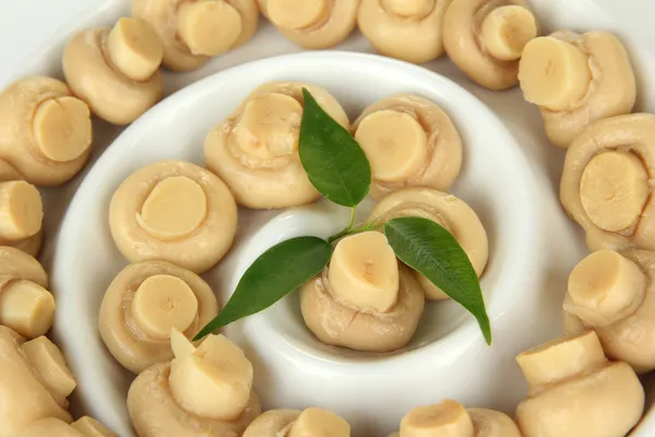 Mushrooms in bowl, close up — Stock Photo, Image