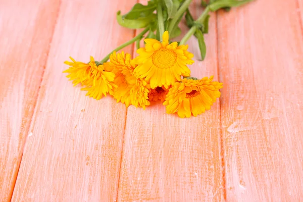 Calendula květiny na dřevěném pozadí — Stock fotografie