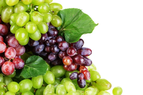 Спелый зеленый и фиолетовый виноград изолирован на белом — стоковое фото