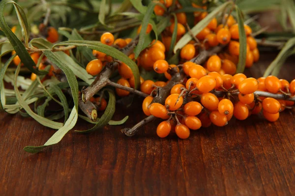 Branches of sea buckthorn on wooden background — Stock Photo, Image