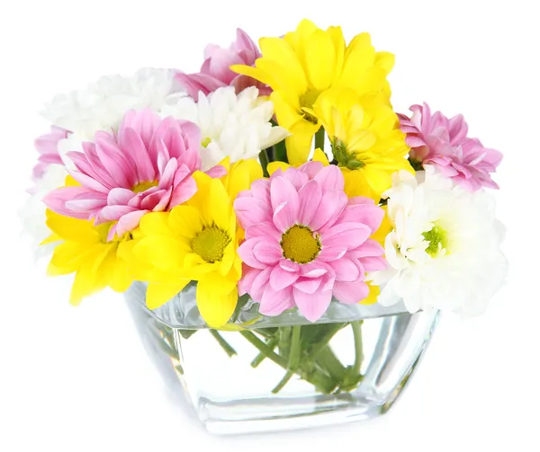 Lindas flores em tigela isolada em branco — Fotografia de Stock