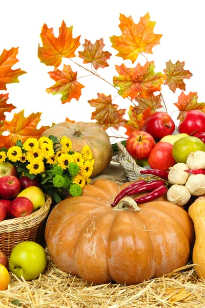 Sammansättning med frukt och grönsaker på nära håll — Stockfoto