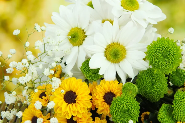 Lindas flores em fundo brilhante — Fotografia de Stock