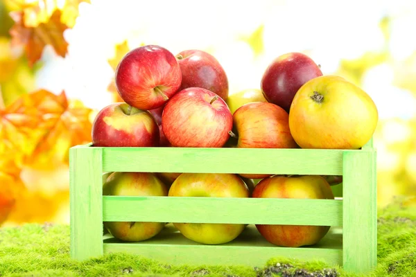Сочные яблоки в деревянной коробке на траве на естественном фоне — стоковое фото