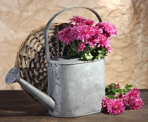 Bouquet de chrysanthème rose en arrosoir sur table en bois — Photo