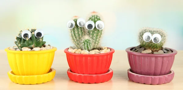 Cactus en macetas con ojos divertidos, sobre mesa de madera —  Fotos de Stock
