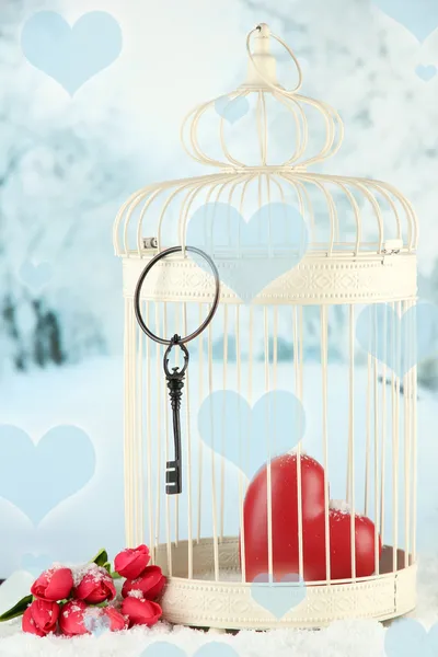 Coeur en cage décorative sur fond d'hiver — Photo