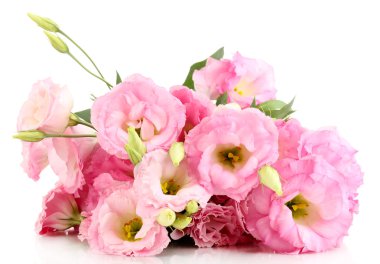 beyaz izole eustoma çiçek, buket