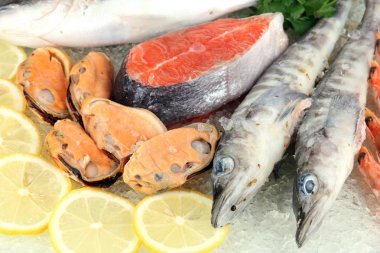 buz üstünde taze deniz ürünleri