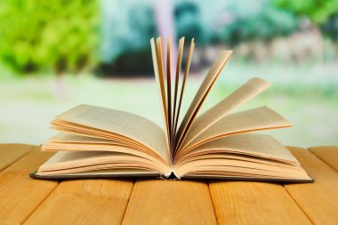 parlak zemin üzerine açık kitap