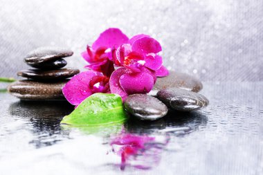 Güzel çiçek açan orkide su damlaları ve açık renk arka plan üzerinde spa taşlar ile kompozisyon