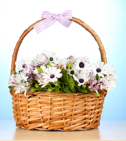 Bouquet of beautiful summer flowers in basket, on blue background — Stock Photo, Image